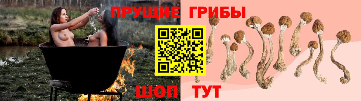 Галлюциногенные грибы мухоморы Зима